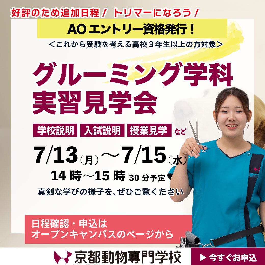 好評につき追加日程！