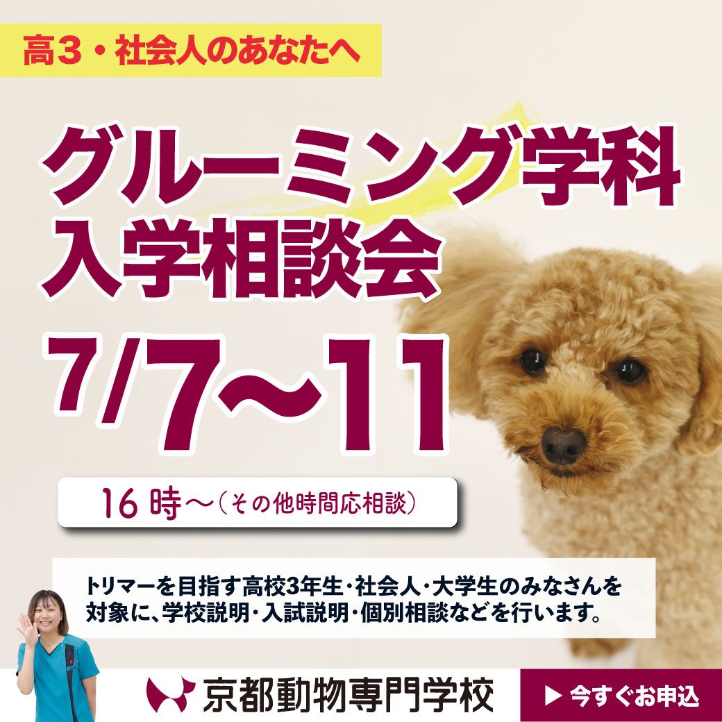グルーミング学科入学相談会