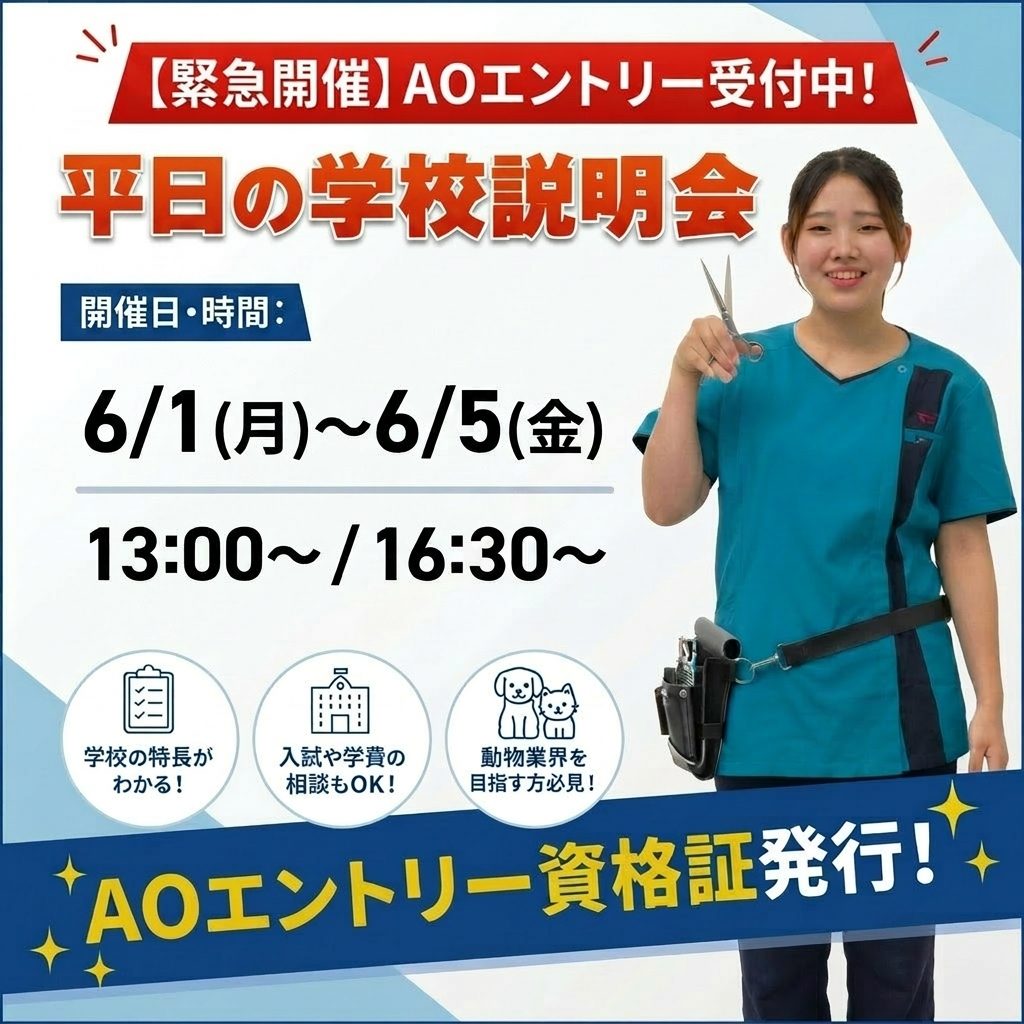 緊急開催決定！